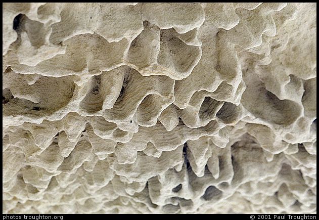 Karst erosion in Oamaru limestone - Central Otago - South Island with Ian 2001