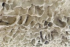 Karst erosion in Oamaru limestone - Central Otago - South Island with Ian 2001