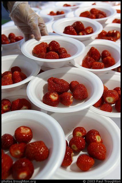 Strawberries - Queens' May Ball 2003