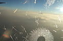 Ice crystals on the window - En-route to Palermo - Honeymoon in Sicily