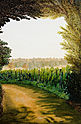 Blagrave Lane At Sunset (2006) - Sophie's paintings
