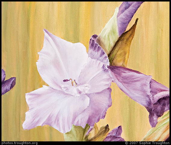 Purple gladiolus - Sophie's paintings