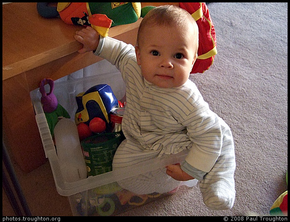 Stuck in the toy box - Dominic in Winter